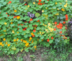 20141004_slatina_arboretum_020