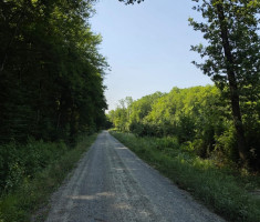 20260628_rodjendansko_pedaliranje_007