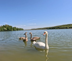 20260830_backyard_trening_xco_lapovac_004